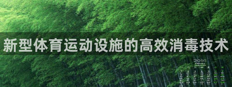 中欧cmo班：新型体育运动设施的高效消毒技术