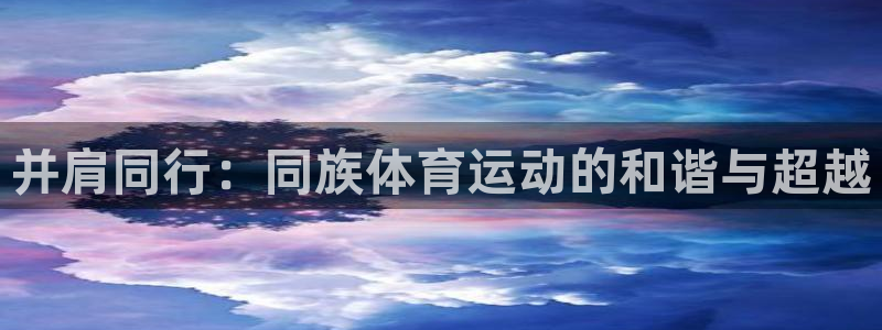 中欧鼎利C怎么样：并肩同行：同族体育运动的和谐与超越