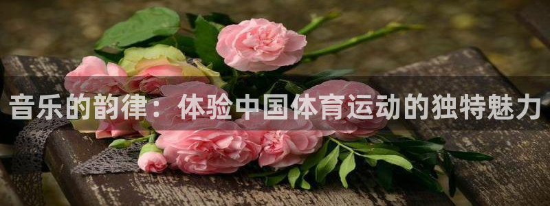 中欧CAI：音乐的韵律：体验中国体育运动的独特魅力