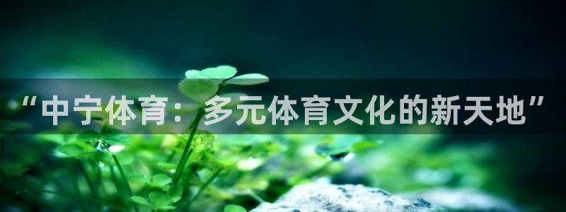 中欧amp班是什么班：“中宁体育：多元体育文化的新天地”