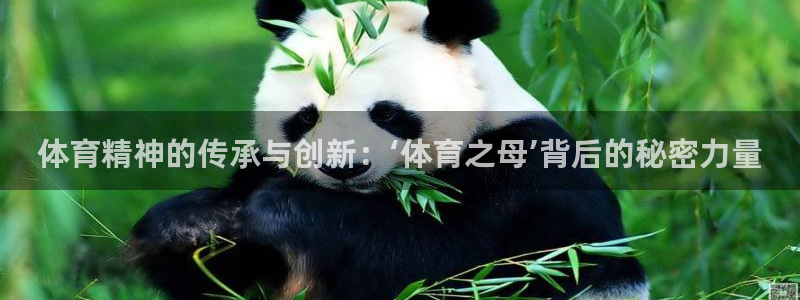 中欧尔法混合A：体育精神的传承与创新：‘体育之母’背后的秘密力量