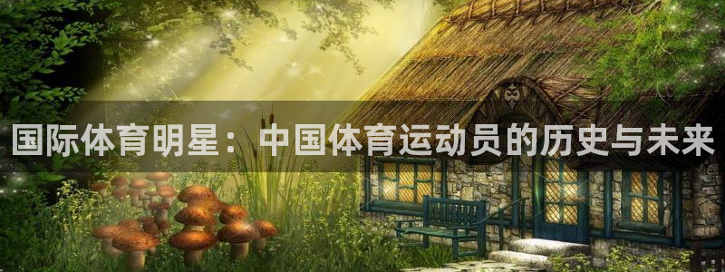 中欧emba报考条件及费用：国际体育明星：中国体育运动员的历史与未来