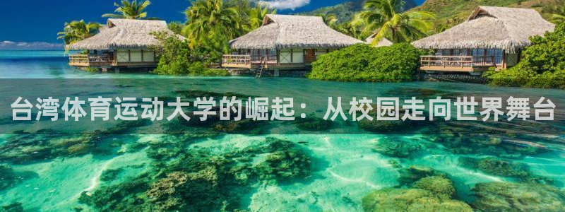 中欧趋势166001基金净值：台湾体育运动大学的崛起：从校园走向世界舞台