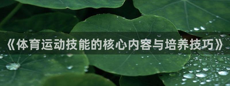 中欧全面投资协定：《体育运动技能的核心内容与培养技巧》