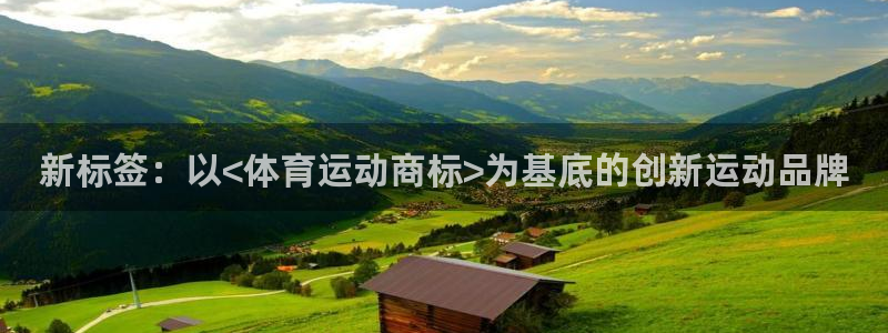 中欧医疗健康混合基金 c：新标签：以<体育运动商标>为基底的创新运动品牌