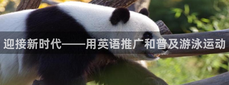 中欧智能制造混合A：迎接新时代——用英语推广和普及游泳运动